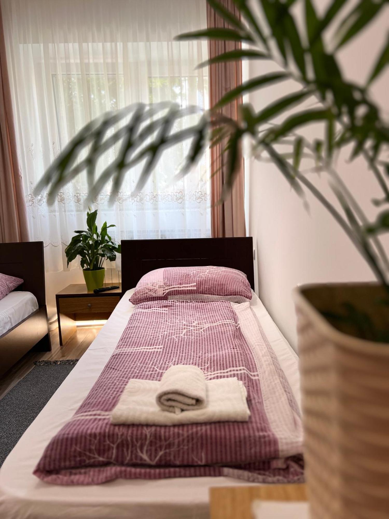 Bezdan Guesthouse エクステリア 写真