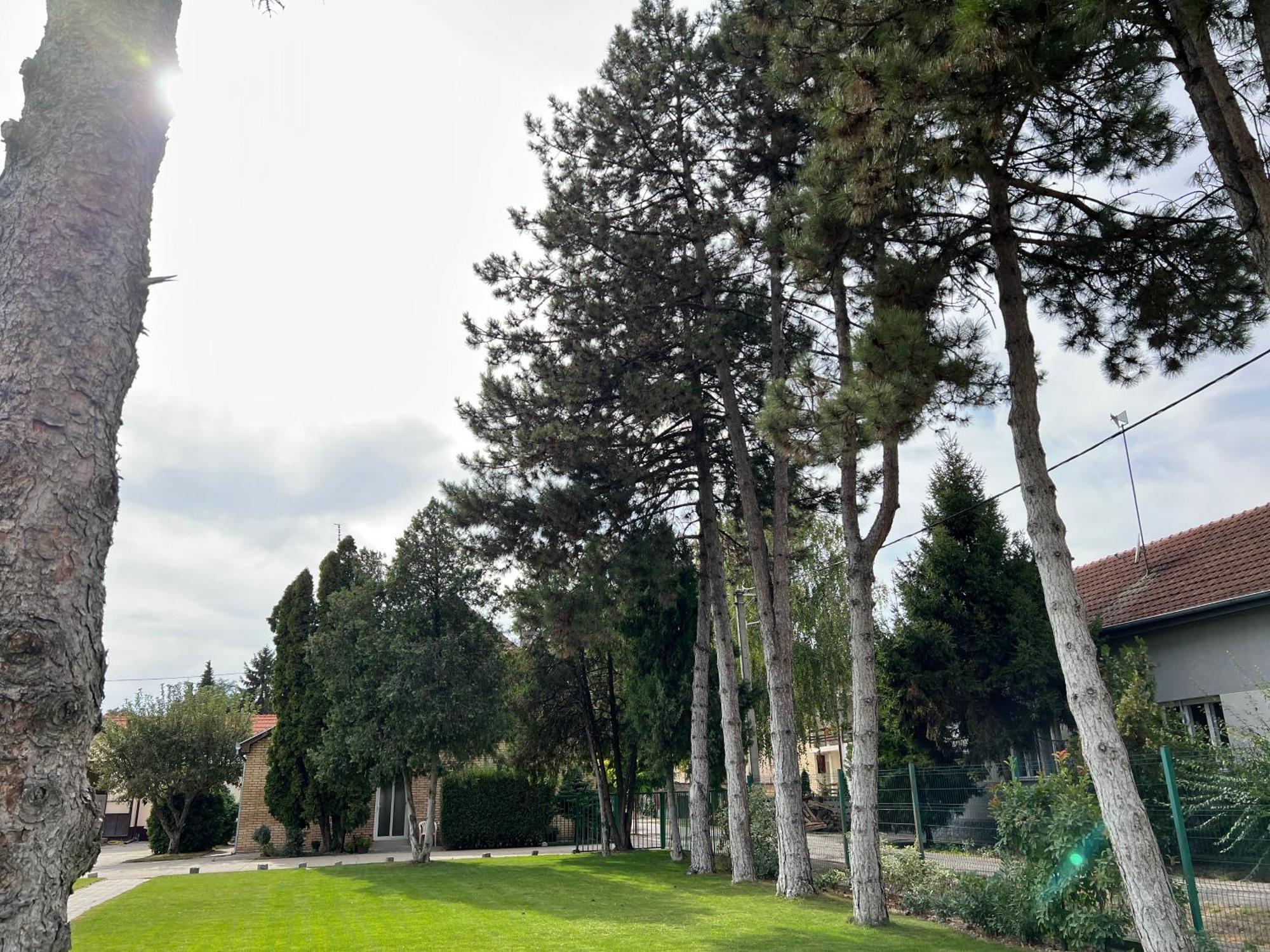 Bezdan Guesthouse エクステリア 写真
