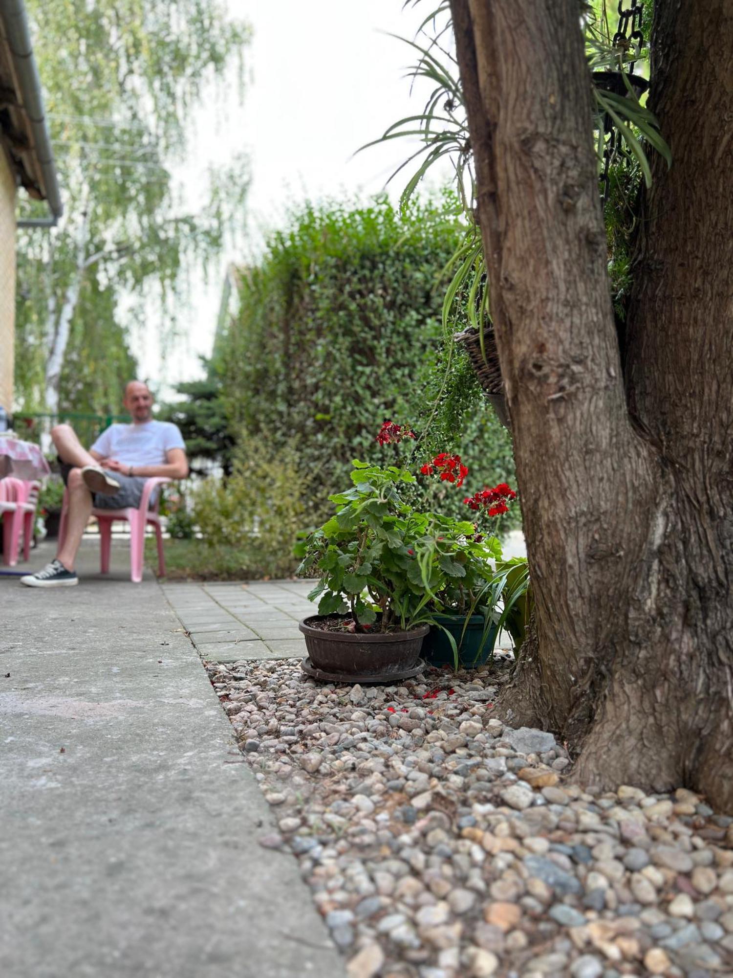 Bezdan Guesthouse エクステリア 写真
